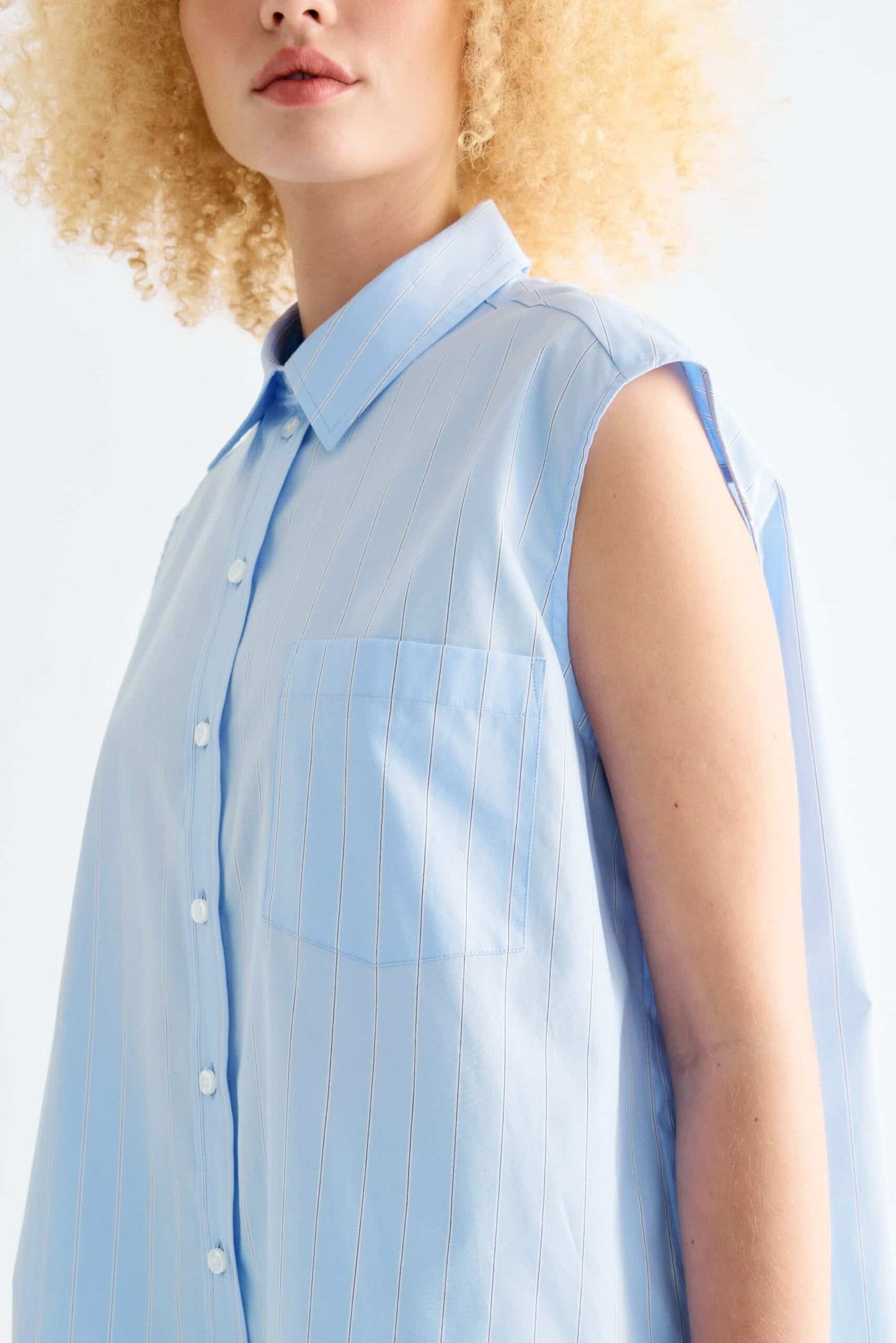 Lovechild 1979 - Brooklyn Shirt, Blue Pinstripe