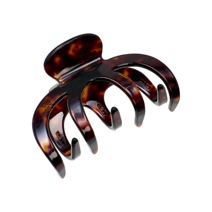 Pico - Grand Alberte Claw